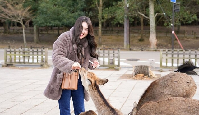 Nara and Osaka Highlights Private Day Trip Tour
