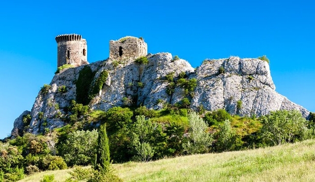 Full‐Day Private Chateauneuf du Pape Wine Tour from Avignon