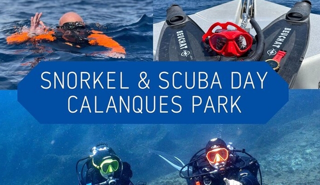 Calanques Full‐Day Snorkeling and Dive Tour from Marseille