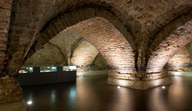 Crypts of Vilnius Cathedral: Guided Tour