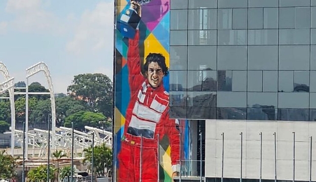 Private Ayrton Senna Urban Art Tour Experience in São Paulo