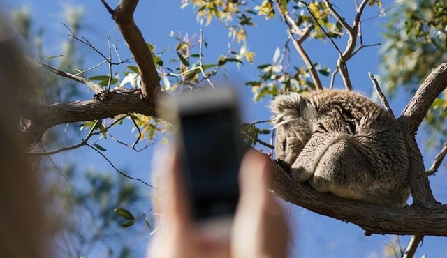 Exceptional Port Lincoln, Seafood and Wildlife Tour