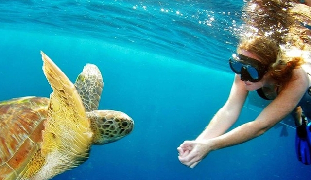 Explore Surin Islands: Ultimate Snorkeling Day Trip from Phuket