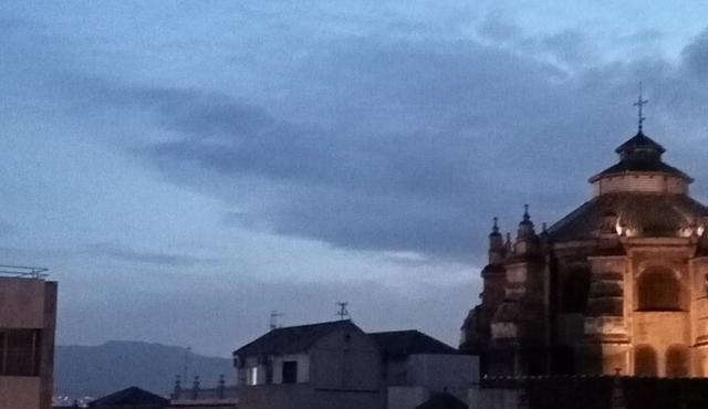 Guided Walking Tour with Panoramic Views and Terraces of Granada