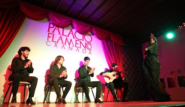 1-hour Flamenco Show at Palacio Flamenco in Granada