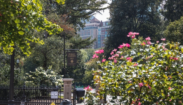Boston History and Highlights Walking Tour