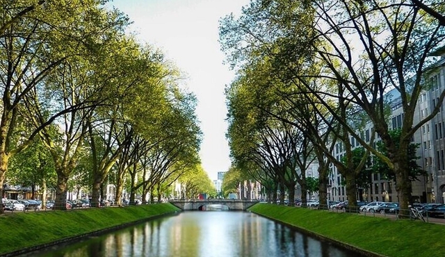 Dusseldorf Highlights Walking tour with A Guide