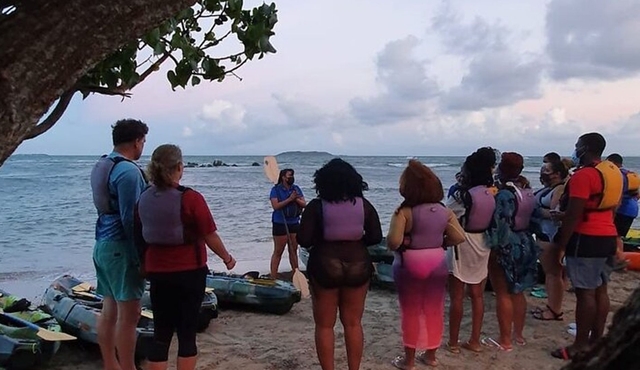 San Juan: Fajardo Bioluminescent Bay Night Kayak Adventure