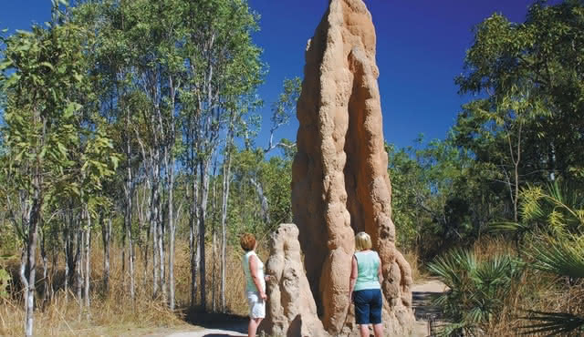 Litchfield National Park Waterfalls Guided Tour
