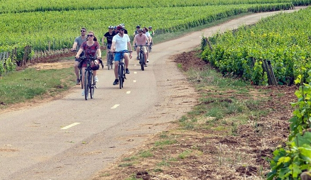 1 Day E‐Bike and wine tour in Cote de Nuits from Dijon