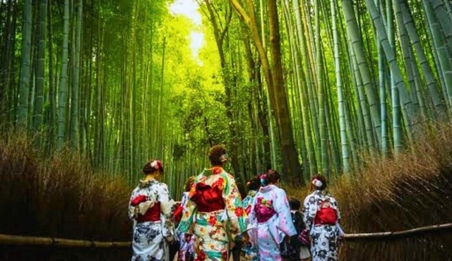 Minoo Falls, Arashiyama Bamboo Forest and Todai‐ji Temple Tour