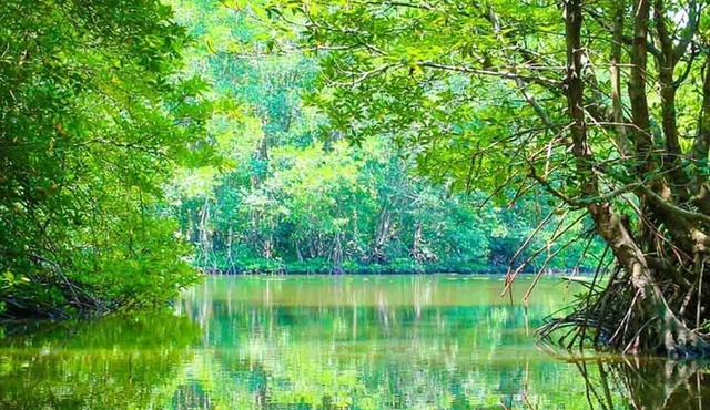 Mekong Delta Small‐Group Full‐Day Tour from Ho Chi Minh City
