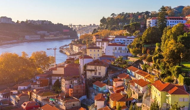 Half‐Day Private Port Wine Tour Experience from Porto