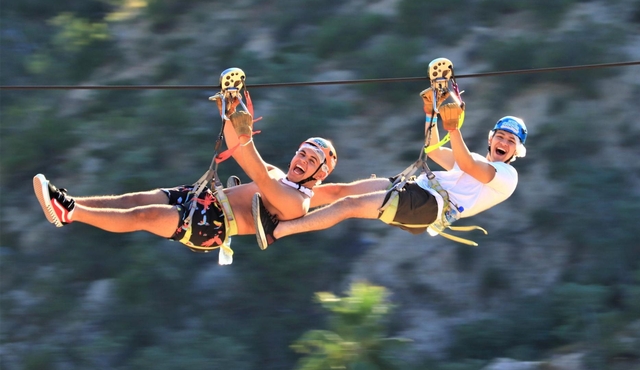 Monster Zip Lines  and Canopy Adventure