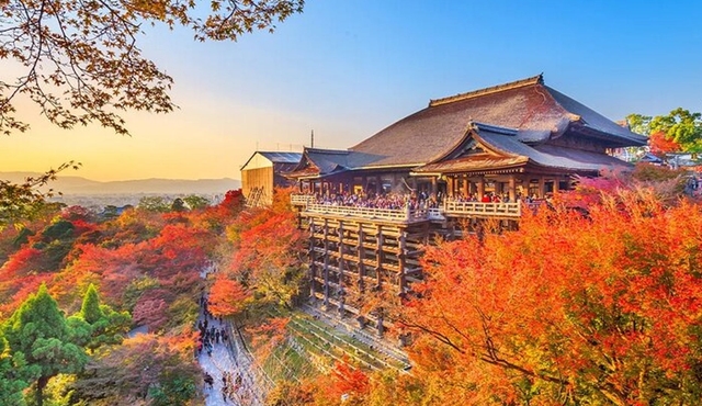 Kyoto Temples to Uji Cultural Day Tour from Osaka and Kyoto