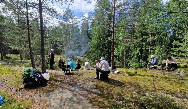 Urban Nature Walk Experience in Helsinki Central Park