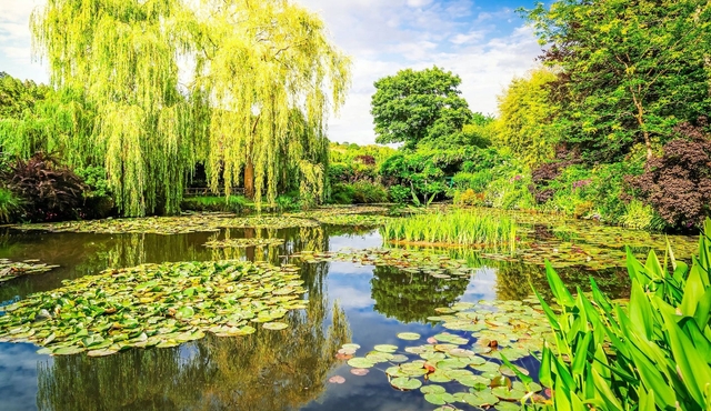 Giverny with Audio Guide and Transfer from Paris