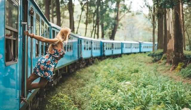Day Excursions to Horton Plains & Local Train Experience from Ella