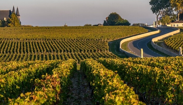 Private Médoc Region Wine Tour Experience from Bordeaux