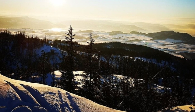 Trondheim Forest Sledding and Tram Tour