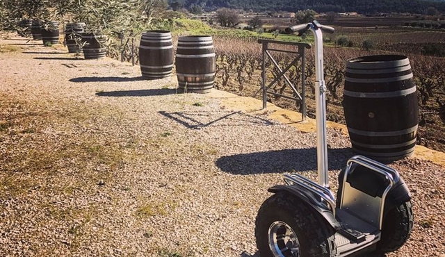 Vineyard visit in Gyropode, visit of Cave & Tasting Wines of Bandol