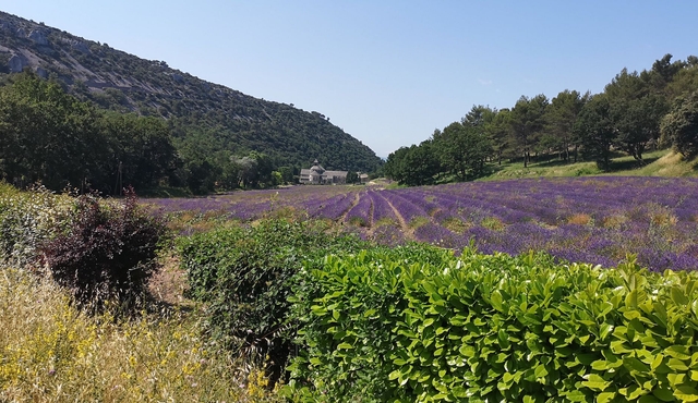 Marseille Shore Excursion: Private Day Trip to Luberon Villages