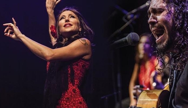 Seville Flamenco and Tapas Walking Tour