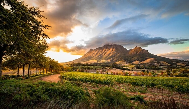 Cape Winelands From Cape Town Private Day Tour
