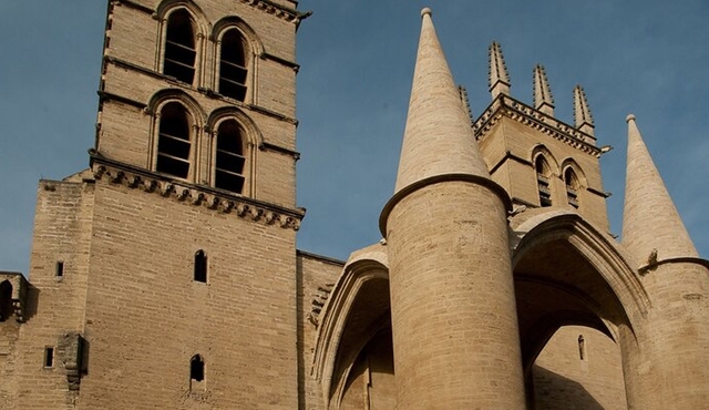 Private Historic Walking tour in Montpellier