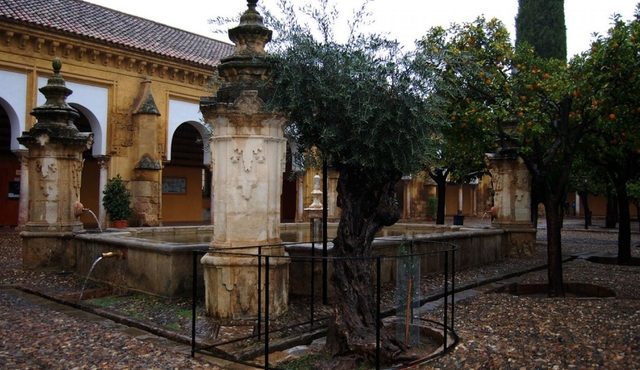 History of the Cathedral‐Mosque of Córdoba: guided tour