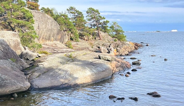 Helsinki Archipelago Forest Bathing Experience