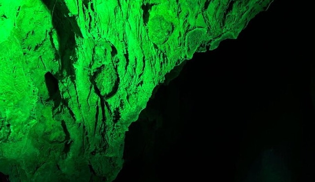 Canelobre Caves and Busot Tour in Alicante