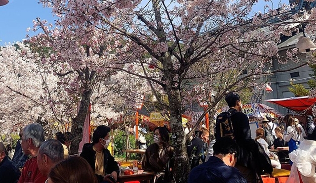 Kyoto Private Guided Beauty Tour