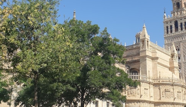 Seville: Alcázar & Cathedral Guided Tour