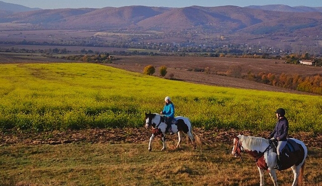 Escape Sofia: horse ride through Bulgaria's beauty