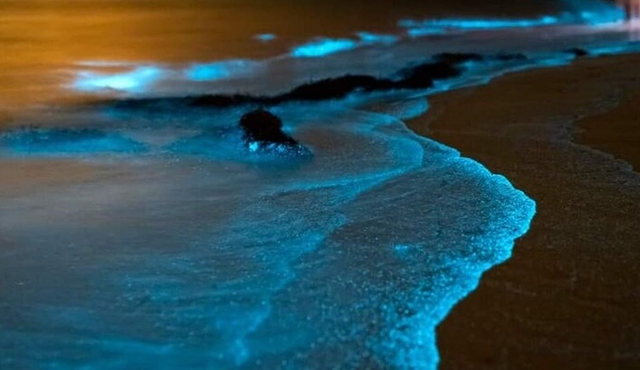 Bioluminescent Plankton, Sea Canoes & Sunset at James Bond Island