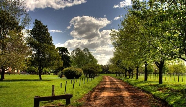 Visit the Village San Antonio de Areco and the Estancia