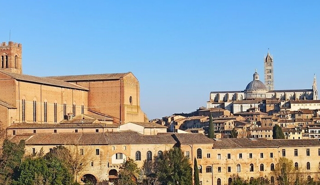 Chianti Tour with Siena, Monteriggioni, and Wine Tasting Lunch