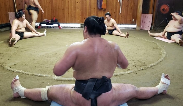 Tóquio: Visita guiada ao treino de sumô