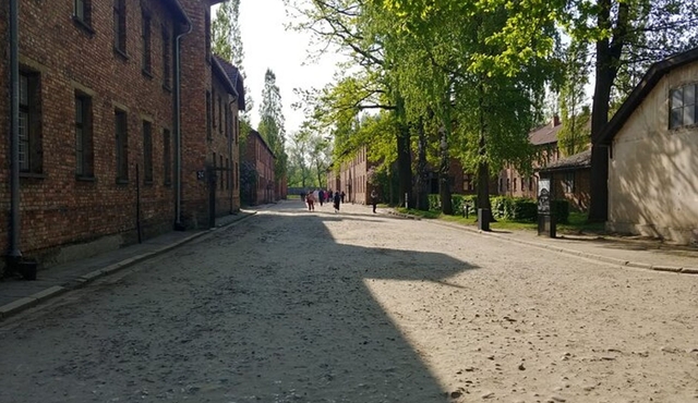 Krakow to Auschwitz‐Birkenau Guided Tour