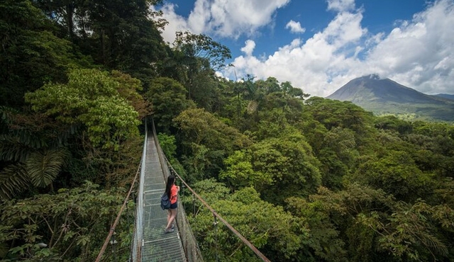 Arenal Hanging Bridges From Arenal