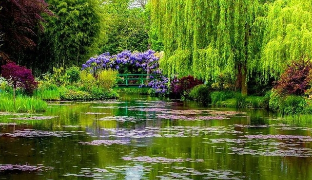 Giverny and Claude Monet’s Gardens Day Trip from Paris