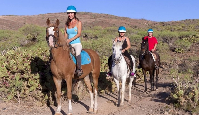 The Best Horse Riding Experience in Gran Canaria (1 hour)