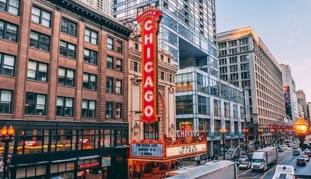 Visita privada a pie por el Chicago Loop con guía