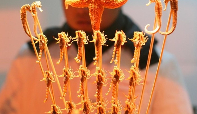Beijing Private Night Tour