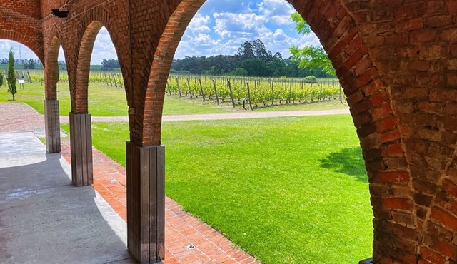 Half Day Private Canelones Wine Tour from Montevideo
