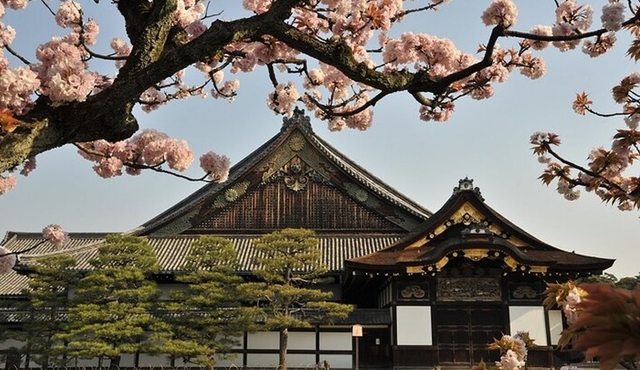 Kyoto and Nara Full‐Day Trip With Golden Pavilion From Kyoto