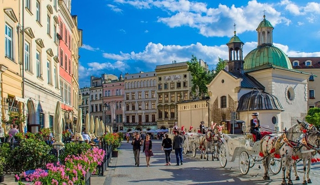 Katowice Private Tour to Krakow with Transport and Guide