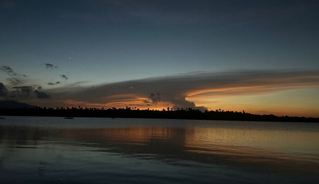 Bio Bay Night Kayak Tour in Fajardo
