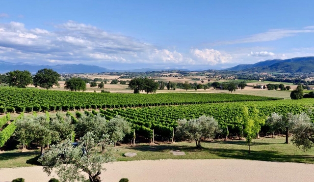 Exclusive winery tour with wine and food tasting in Montefalco